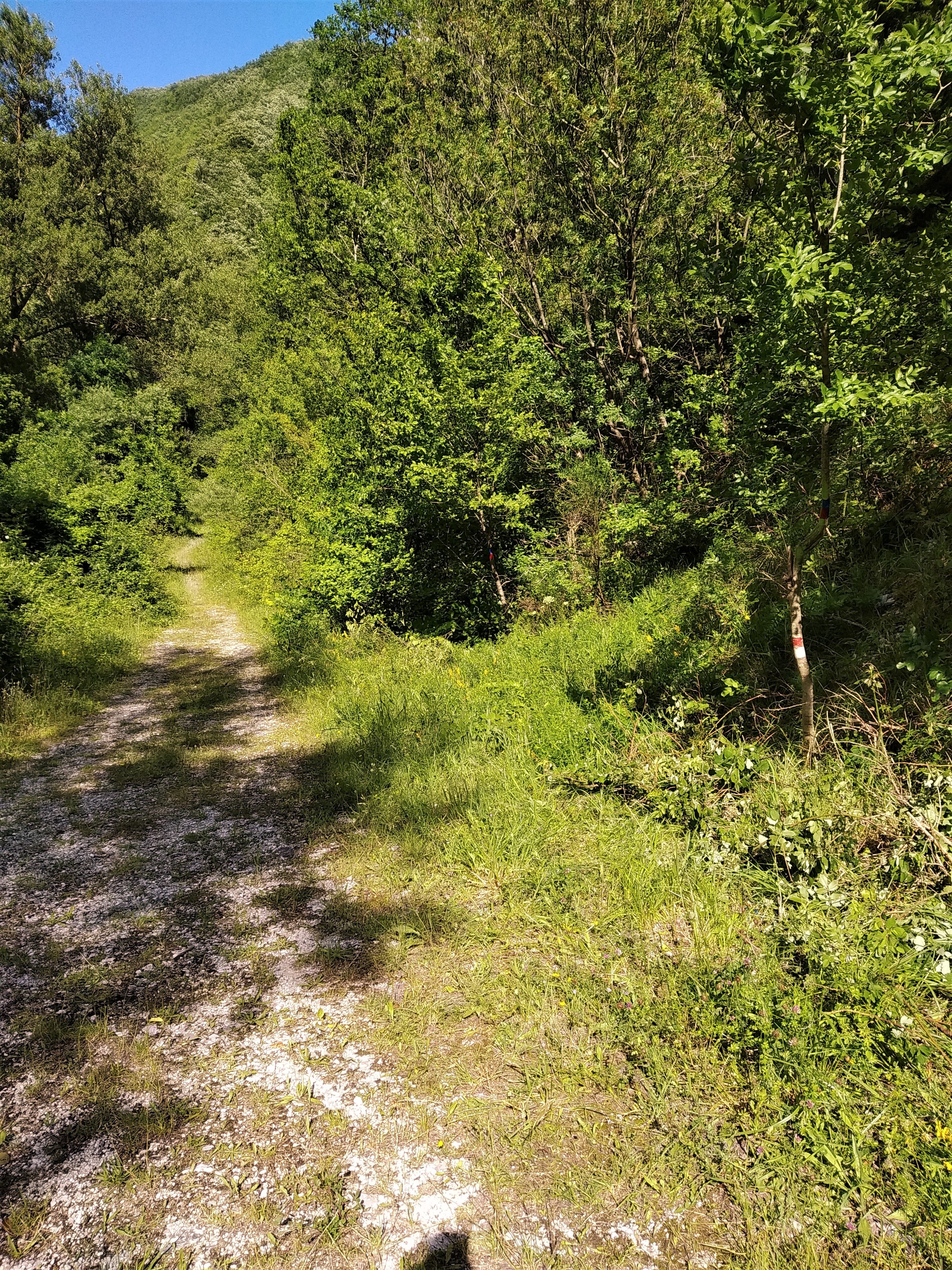 IMG_20200618_164541 (2)